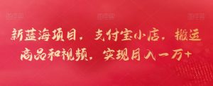 新蓝海项目,支付宝小店,搬运商品和视频,实现月入一万+【揭秘】-知乎者也