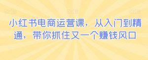 小红书电商运营课,从入门到精通,带你抓住又一个赚钱风口-知乎者也