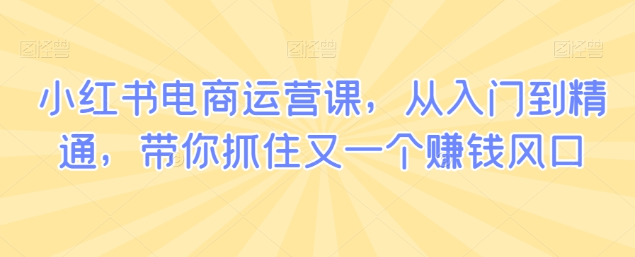 小红书电商运营课,从入门到精通,带你抓住又一个赚钱风口-知乎者也