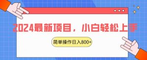 2024最新项目,红娘项目,简单操作轻松日入800+【揭秘】-知乎者也