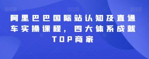 阿里巴巴国际站认知及直通车实操课程,四大体系成就TOP商家-知乎者也