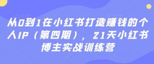 从0到1在小红书打造赚钱的个人IP(第四期),21天小红书博主实战训练营-知乎者也