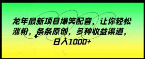 龙年最新项目爆笑配音,让你轻松涨粉,条条原创,多种收益渠道,日入1000+【揭秘】-知乎者也