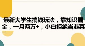 最新大学生搞钱玩法，靠知识掘金，一月两万+，小白拒绝当韭菜【揭秘】-知乎者也