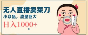 无人冷门品直播新玩法，通过卖菜刀日入1000+【揭秘】-知乎者也