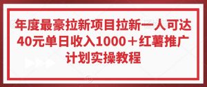 年度最豪拉新项目拉新一人可达40元单日收入1000+红薯推广计划实操教程【揭秘】-知乎者也