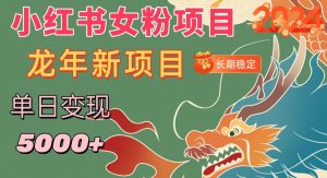 小红书女粉头像项目,单日变现5000+,适合在家做的副业,长期稳定【揭秘】-知乎者也