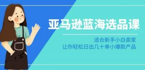 亚马逊-蓝海选品课:适合新手小白卖家,让你轻松日出几十单小爆款产品-知乎者也