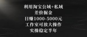 利用淘宝公域+私域差价掘金，日赚1000-5000元，工作室可放大操作，实操稳定半年【揭秘】-知乎者也