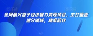 全网最火搭子经济暴力变现项目,主打垂直细分领域,精准陪伴【揭秘】-知乎者也