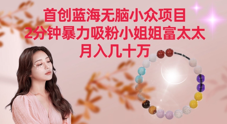首创蓝海无脑小众项目,2分钟暴力吸粉小姐姐富太太,月入几十万【揭秘】-知乎者也