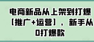 电商新品从上架到打爆【推广+运营】,新手从0打爆款-知乎者也