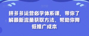 拼多多运营必学体系课,带你了解最新流量获取方法、帮助你降低推广成本-知乎者也