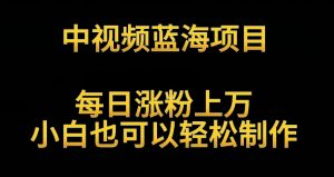 中视频蓝海项目,解读英雄人物生平,每日涨粉上万,小白也可以轻松制作,月入过万不是梦【揭秘】-知乎者也