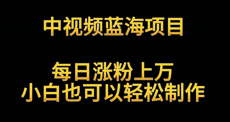 中视频蓝海项目,解读英雄人物生平,每日涨粉上万,小白也可以轻松制作,月入过万不是梦【揭秘】-知乎者也