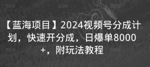 【蓝海项目】2024视频号分成计划，快速开分成，日爆单8000+，附玩法教程-知乎者也