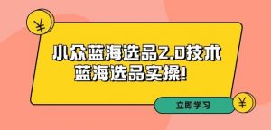 拼多多培训第33期:小众蓝海选品2.0技术-蓝海选品实操!-知乎者也