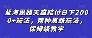 蓝海思路天猫赔付日下2000+玩法，两种思路玩法，保姆级教学【仅揭秘】-知乎者也
