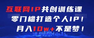 互联网IP共创训练课,零门槛零基础打造个人IP,月入10w+不是梦【揭秘】-知乎者也