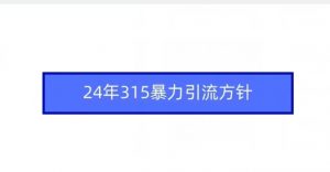 24年315暴力引流方针-知乎者也