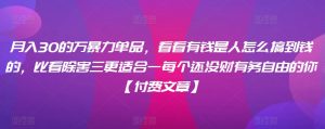 月入30的万暴力单品,看看有钱是人怎么搞到钱的,比看除害三更适合一每个还没财有务自由的你【付费文章】-知乎者也