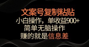 文案号掘金,简单复制粘贴,小白操作,单作品收益900+【揭秘】-知乎者也