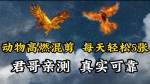 动物超燃混剪，每天轻松5张，剪辑简单大家爱看【揭秘】-知乎者也