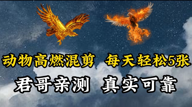 动物超燃混剪，每天轻松5张，剪辑简单大家爱看【揭秘】-知乎者也