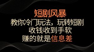 短剧风暴,教你冷门玩法,玩转短剧,收钱收到手软【揭秘】-知乎者也