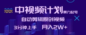 中视频计划暴力起号,自动剪辑原创视频,3分钟上手,月入2W+【揭秘】-知乎者也