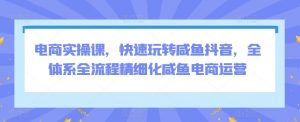 电商实操课,快速玩转咸鱼抖音,全体系全流程精细化咸鱼电商运营-知乎者也