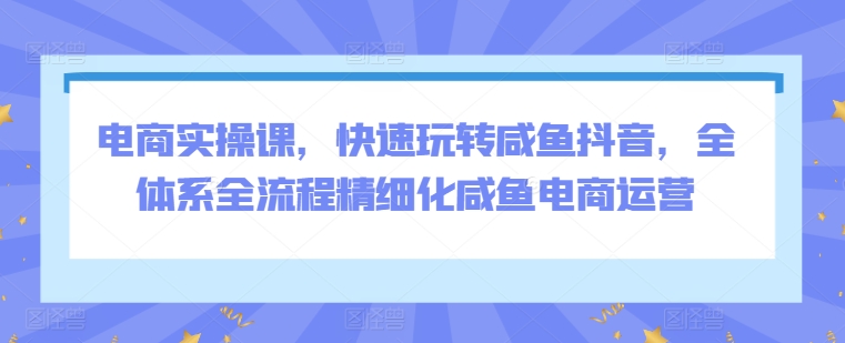 电商实操课,快速玩转咸鱼抖音,全体系全流程精细化咸鱼电商运营-知乎者也