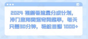 2024视频号流量分成计划,冷门监海赛道奇闻趣事,每天只需30分钟,轻松目赚 1000+【揭秘】-知乎者也