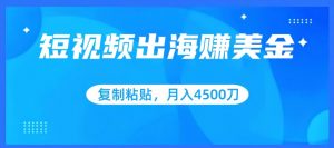 短视频出海赚美金，复制粘贴批量操作，小白轻松掌握，月入4500美刀【揭秘】-知乎者也