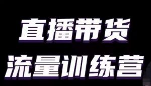 直播带货流量训练营，小白主播必学直播课-知乎者也