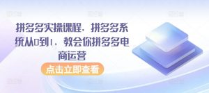 拼多多实操课程,拼多多系统从0到1,教会你拼多多电商运营-知乎者也