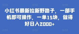 小红书最新拉新野路子,一部手机即可操作,一单15块,做得好日入2000+【揭秘】-知乎者也
