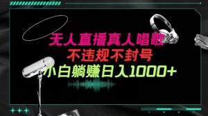 抖音24小时无人直播音乐,不违规,不封号纯撸音浪,小白实操当天日入1000+【揭秘】-知乎者也