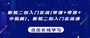 影视二创入门实战(带课+带货+中视频),影视二创入门实战课-知乎者也