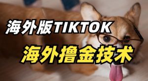 抖音海外版tiktok撸金技术，这个风口行业，赚钱真的不难【揭秘】-知乎者也