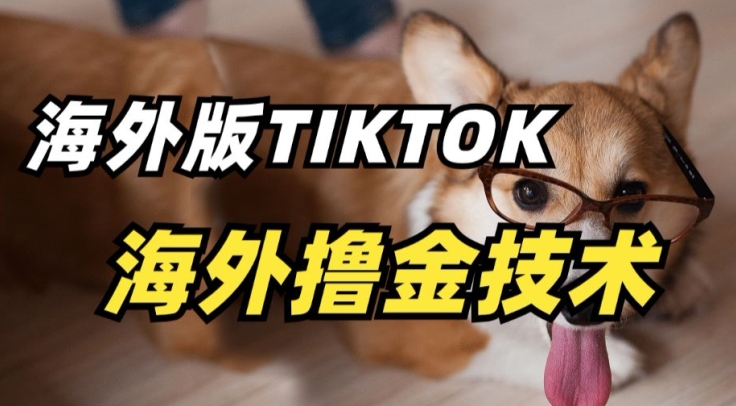 抖音海外版tiktok撸金技术,这个风口行业,赚钱真的不难【揭秘】-知乎者也