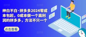 拼多多2024零成本包起,0成本做一个高利润的拼多多,方法不只一个-知乎者也