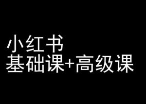 小红书基础课+高级课-小红书运营教程-知乎者也
