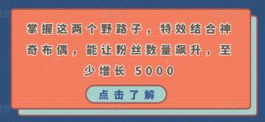 掌握这两个野路子,特效结合神奇布偶,能让粉丝数量飙升,至少增长 5000【揭秘】-知乎者也