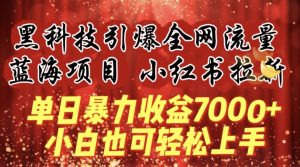 蓝海项目!黑科技引爆全网流量小红书拉新,单日暴力收益7000+,小白也能轻松上手【揭秘】-知乎者也