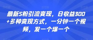 最新S粉引流变现,日收益300+多种变现方式,一分钟一个视频,发一个爆一个【揭秘】-知乎者也