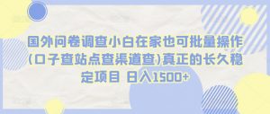 国外问卷调查小白在家也可批量操作(口子查站点查渠道查)真正的长久稳定项目 日入1500+【揭秘】-知乎者也