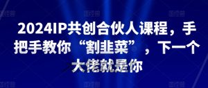 2024IP共创合伙人课程，手把手教你“割韭菜”，下一个大佬就是你-知乎者也