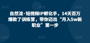 自然流·短视频IP孵化手,14天百万爆款了训练营,带你迈出“月入5w新职业”第一步-知乎者也