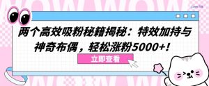 两个高效吸粉秘籍揭秘：特效加持与神奇布偶，轻松涨粉5000+【揭秘】-知乎者也